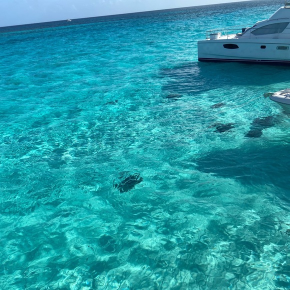 Meet your Posher, Jennifer - Picture 1 of 1